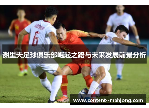 谢里夫足球俱乐部崛起之路与未来发展前景分析