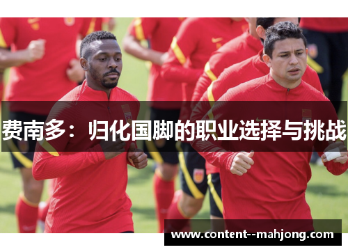 费南多：归化国脚的职业选择与挑战