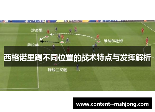 西格诺里踢不同位置的战术特点与发挥解析