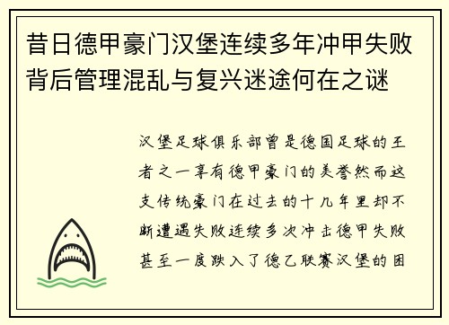 昔日德甲豪门汉堡连续多年冲甲失败背后管理混乱与复兴迷途何在之谜
